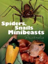 Young Reed Spiders Snails And Other Minibeasts Of Australia