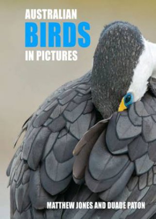 Australian Birds In Pictures by Matthew Jones & Duade Paton