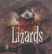 Lizards