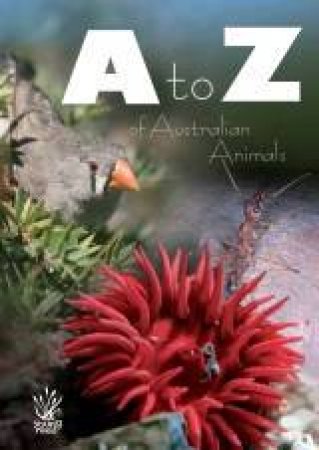 A-Z Of Australian Animals by Various