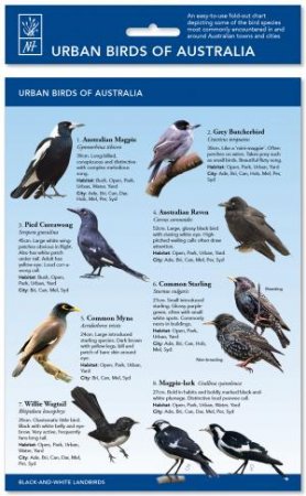 Urban Birds Of Australia: ID Chart by New Holland Publishers