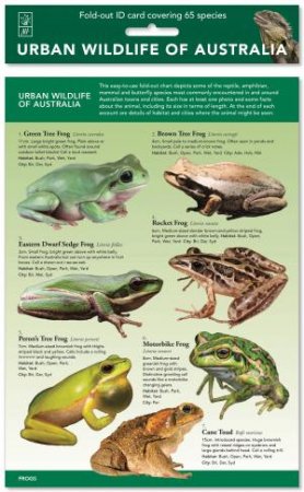 Urban Wildlife Of Australia: ID Chart by New Holland Publishers