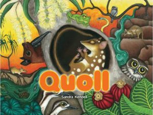 Quoll by Sandra Kendell