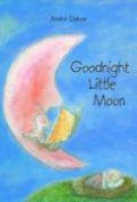Goodnight Little Moon