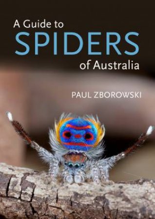 A Guide To Spiders Of Australia by Paul Zborowski
