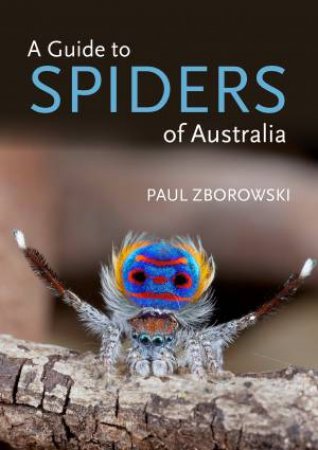 A Guide To Spiders Of Australia by Paul Zborowski