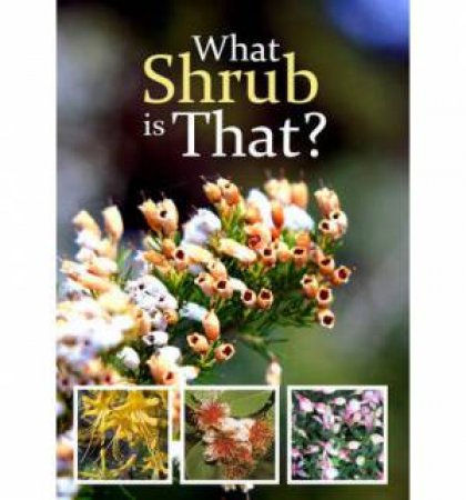 What Shrub Is That? by Stirling Macoby
