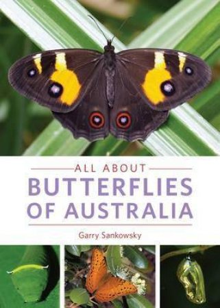 All About Butterflies Of Australia by Garry Sankowsky