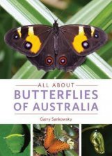 All About Butterflies Of Australia