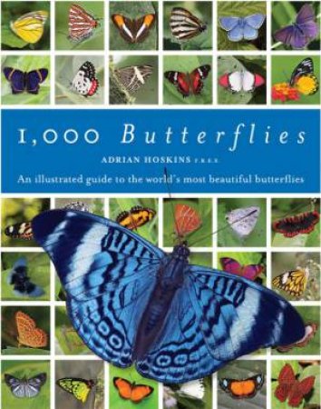 1000 Butterflies by Adrian Hoskins