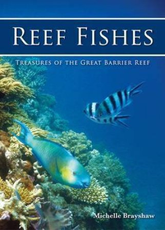 Reef Fishes by Michelle Brayshaw