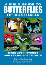 A Field Guide Butterflies Of Australia