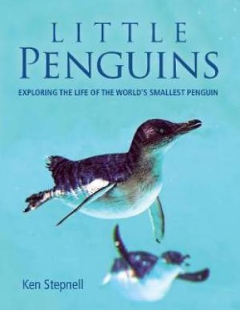 Little Penguins by Ken Stepnell