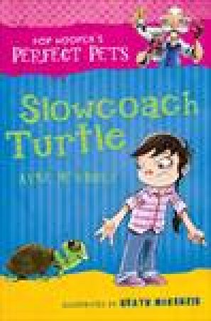 Slowcoach Turtle by Kyle Mewburn