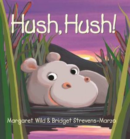 Hush Hush by Margaret Wild & Bridget Stevens-Marzo