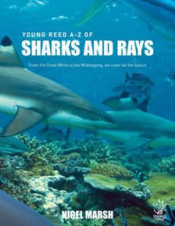 Young Reed A-Z: Sharks And Rays by Nigel Marsh