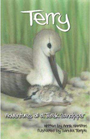 Terry: Adventures of a Terek Sandpiper by Anne Hamilton