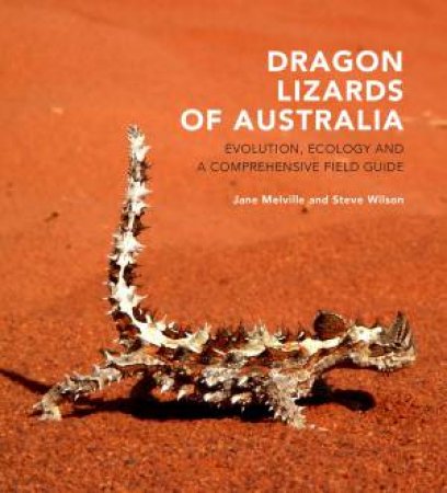 Dragon Lizards Of Australia by Jane Meville & Steve Wilson