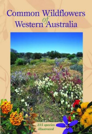 Common Wildflowers Of Western Australia by Simon Nevill