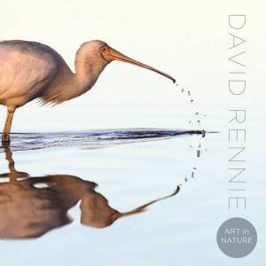 Art In Nature by David Rennie