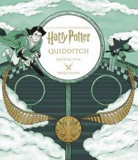 Harry Potter Magical Film Projections Quidditch