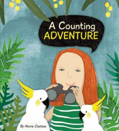A Counting Adventure by Hanrie Coetzee