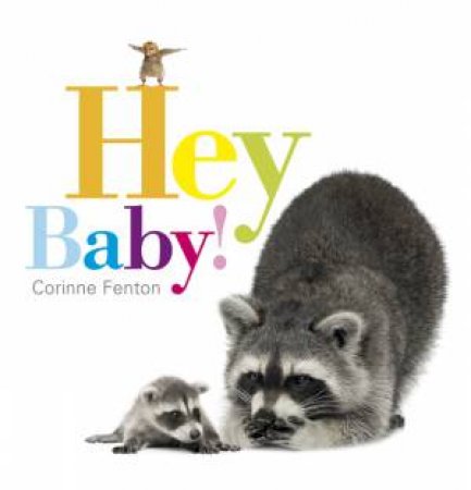 Hey Baby! Board Book by Corinne Fenton