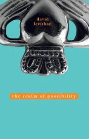 The Realm of Possibility by David Levithan