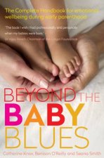 Beyond the Baby Blues  2nd Ed