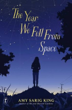 The Year We Fell From Space by Amy Sarig King