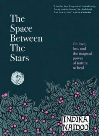 The Space Between The Stars by Indira Naidoo