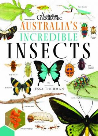 Australia's Incredible Insects by Jessa Thurman