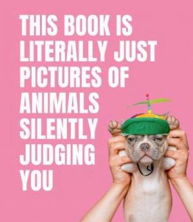 This Book Is Literally Just Pictures Of Animals Silently Judging You by Various