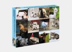 This Jigsaw Is Literally Just Pictures Of Cute Animals That Will Make You Feel Better