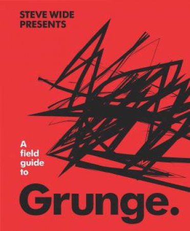 A Field Guide To Grunge by Steve Wide