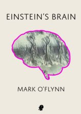 Einsteins Brain