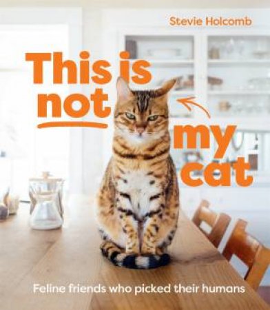 This Is Not My Cat by Stevie Holcomb