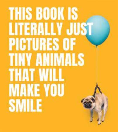 This Book Is Literally Just Pictures of Tiny Animals That Will Make You Smile by Smith Street Books