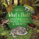 Whats That Australian Frogs Newts  Toads