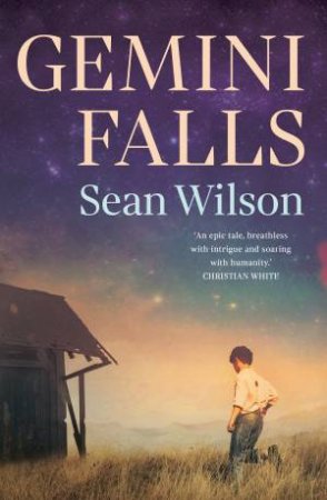 Gemini Falls by Sean Wilson