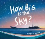 How Big is the Sky