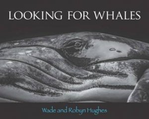 Looking For Whales by Wade and Robyn Hughes