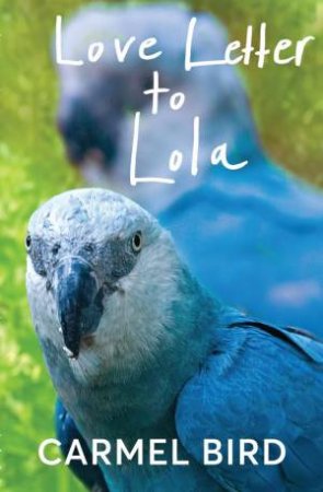 Love Letter to Lola by Carmel Bird