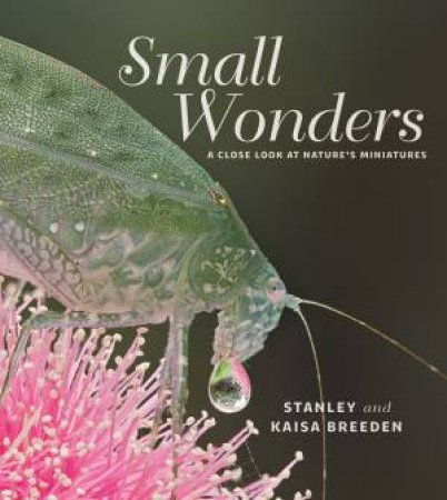 Small Wonders by Kaisa Breeden & Stanley Breeden