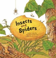 Insects And Spiders