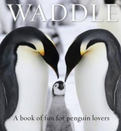 Waddle by Lloyd Spencer Davis