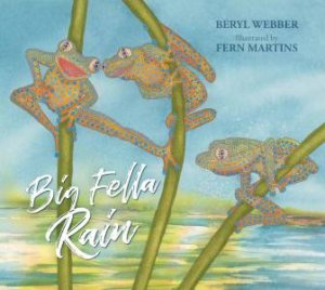 Big Fella Rain by Beryl Webber & Fern Martins