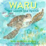 Waru The Green Sea Turtle