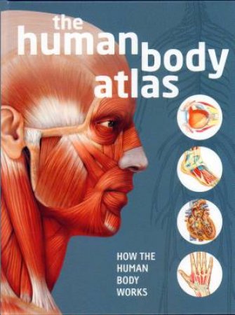 Human Body Atlas: How The Human Body Works by Various