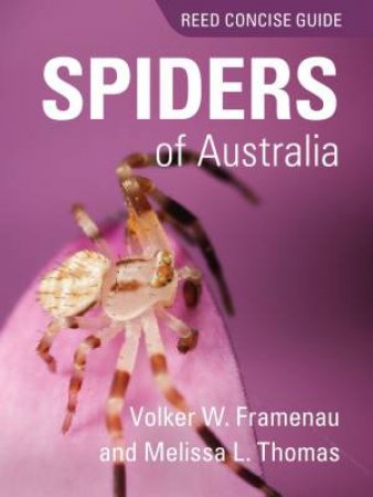 Reed Concise Guide To Spiders of Aus by Volker W Framenau & Melissa L Thomas